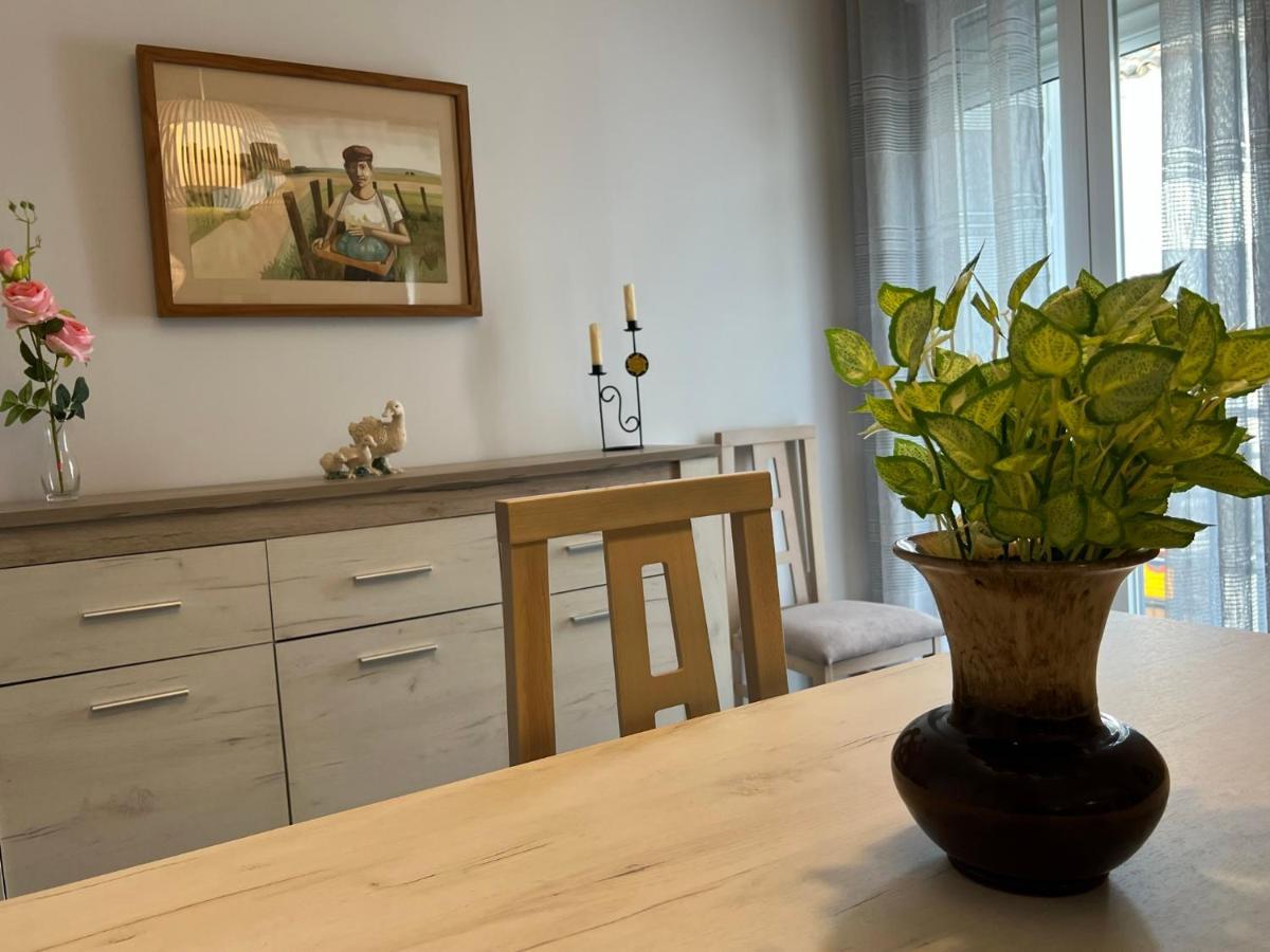 Apartamento La Pelota De Loren 科爾多瓦 外观 照片