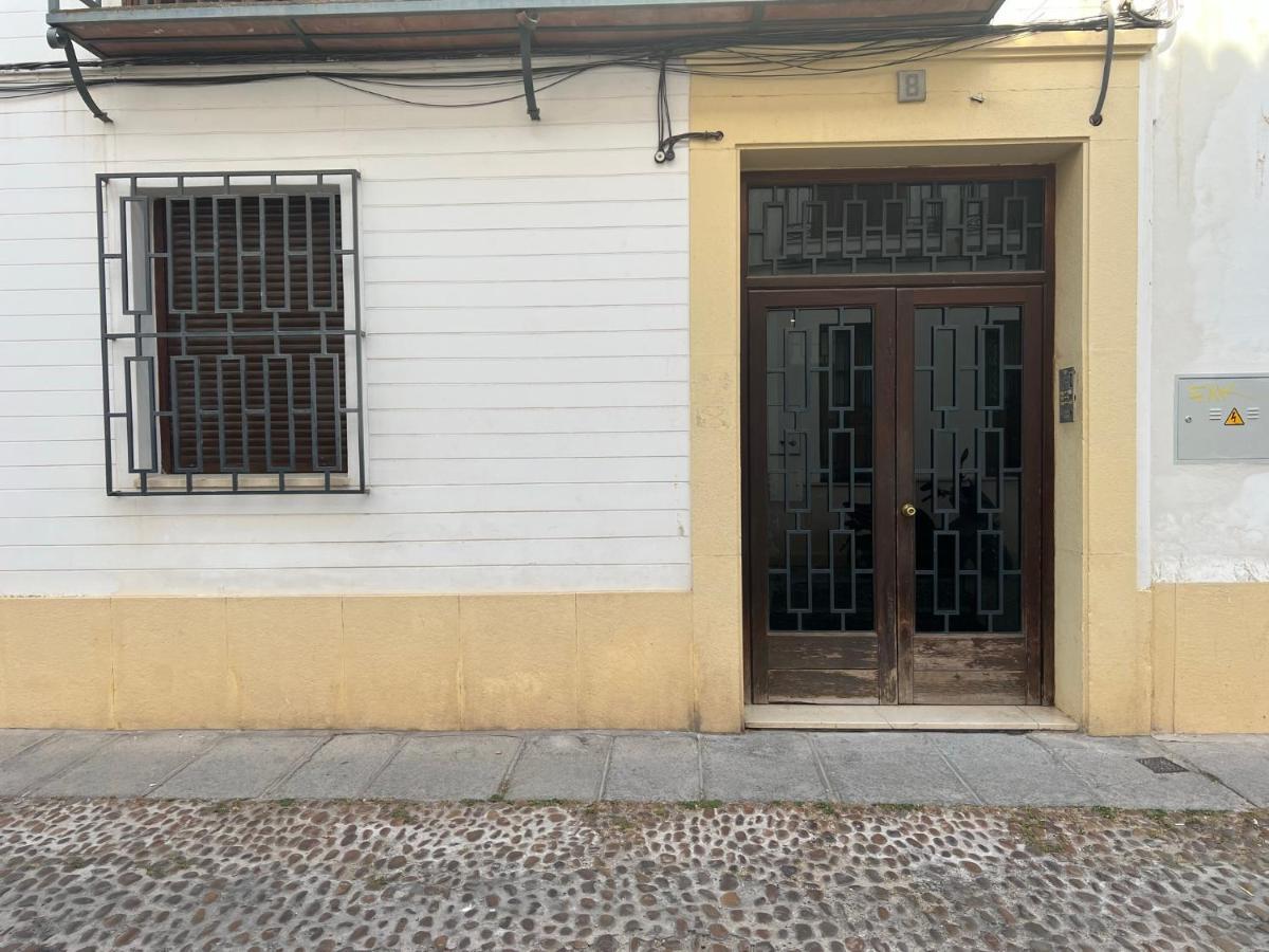 Apartamento La Pelota De Loren 科爾多瓦 外观 照片